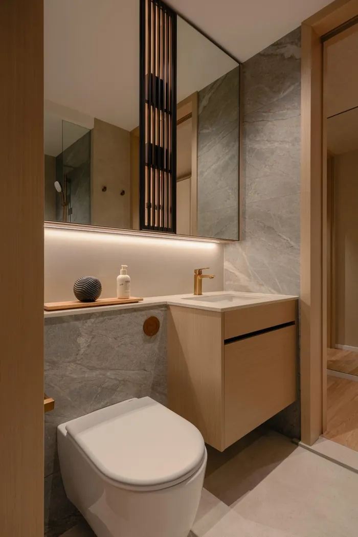 Type DP1 (L) common bathroom, Luxury Tier 2